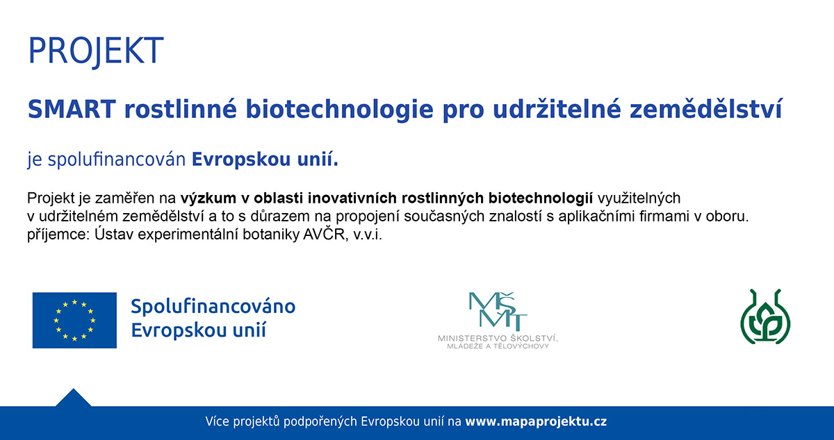 V našem ústavu startuje nový výzkumný projekt: SMART rostlinné biotechnologie pro udržitelné zemědělství.

Zaměřuje se na výzkum rostlinných biotechnologií využitelných v udržitelném zemědělství a na propojení současných znalostí v této oblasti s aplikačními firmami z oboru.