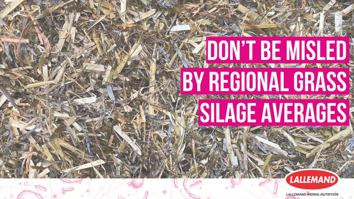 Have you tested your silage?
Inconsistent #silage quality due to variable spring weather highlights the importance of individual silage analysis. Don’t be misled by regional averages; understand your #foragequality to optimise your feeding regime and maximise nutrient utilisation