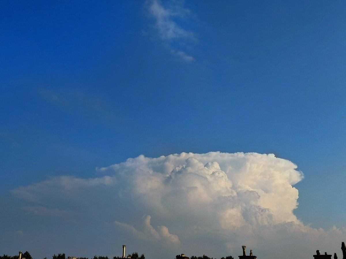 Art of Thunders Stormchasers tweet media