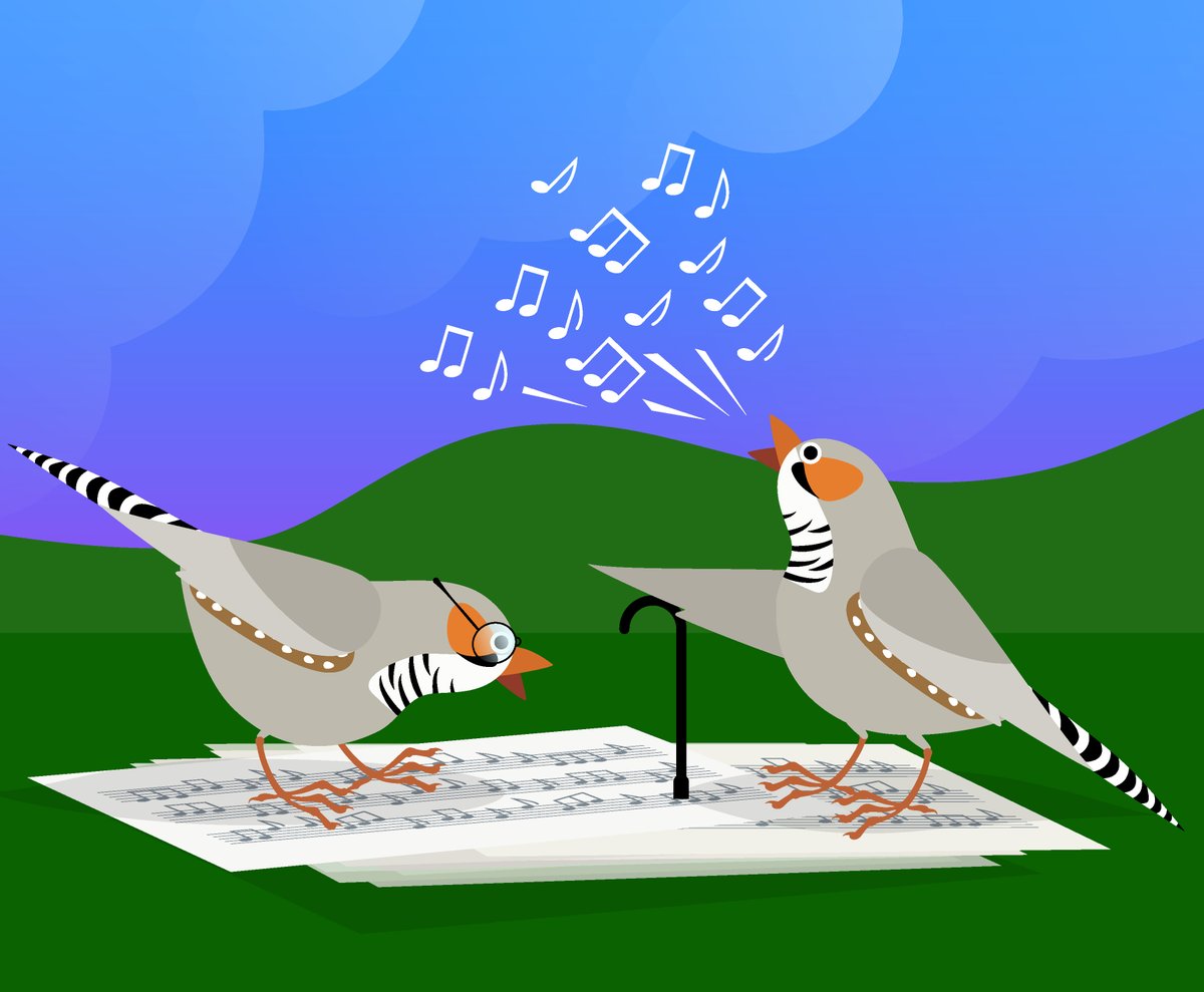 MPI for Biological Intelligence (@mpiforbi) on Twitter photo Reactivate lost learning abilities in old age? New study by <a href="/LabVallentin/">Vallentin Lab</a> shows how adult zebra finches can learn new songs beyond their critical period by manipulating inhibitory neurons!
Find out more: bi.mpg.de/news/2024-09-v…
Art by <a href="/mulesome/">julia kuhl at somedonkey.bsky.social</a> Reactivate lost learning abilities in old age? New study by <a href="/LabVallentin/">Vallentin Lab</a> shows how adult zebra finches can learn new songs beyond their critical period by manipulating inhibitory neurons!
Find out more: bi.mpg.de/news/2024-09-v…
Art by <a href="/mulesome/">julia kuhl at somedonkey.bsky.social</a>