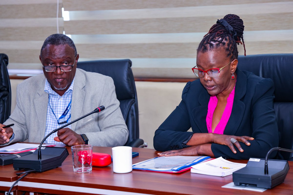 This will be achieved through provision of technical assistance, technology transfer, establishment of public private partnerships and facilitating access to financing for the purchase of mercury-free processing equipment.