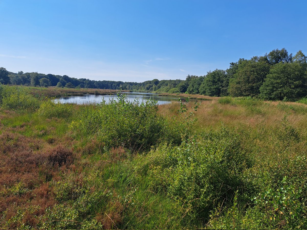 Kootwijkerveen, na afronding 1e fase, zijn we nu gestart met de 2e fase natura 2000 herstel vennen!