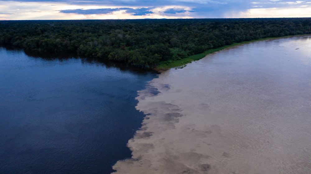 Reserva la visita a l'exposició Amazònies. El futur ancestral del @cececebe @CCCBmediacio. Pot ser interessant per inspirar la recerca del #12cciencia, "El bosc batega".
projectes.xtec.cat/barcelona-apre… 
cccb.org/ca/crear-apren…
