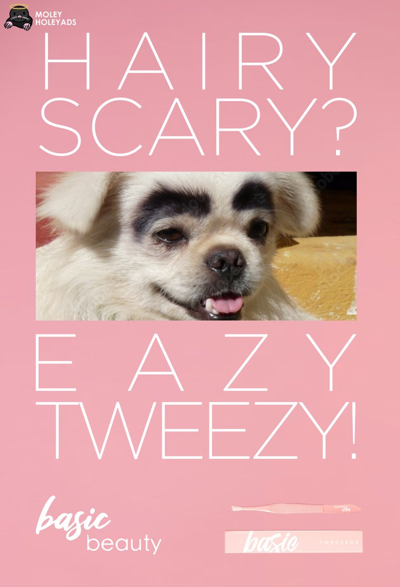 MoleyHoleyAds's tweet photo. hairy scary? eazy tweezy! 😉👌 @OneMinuteBriefs #tweezers #basicbeauty https://t.co/ZEXQVltDzK