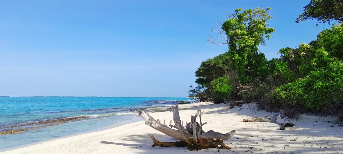 sorenzomaldives.com
SORENZO
Thoddoo