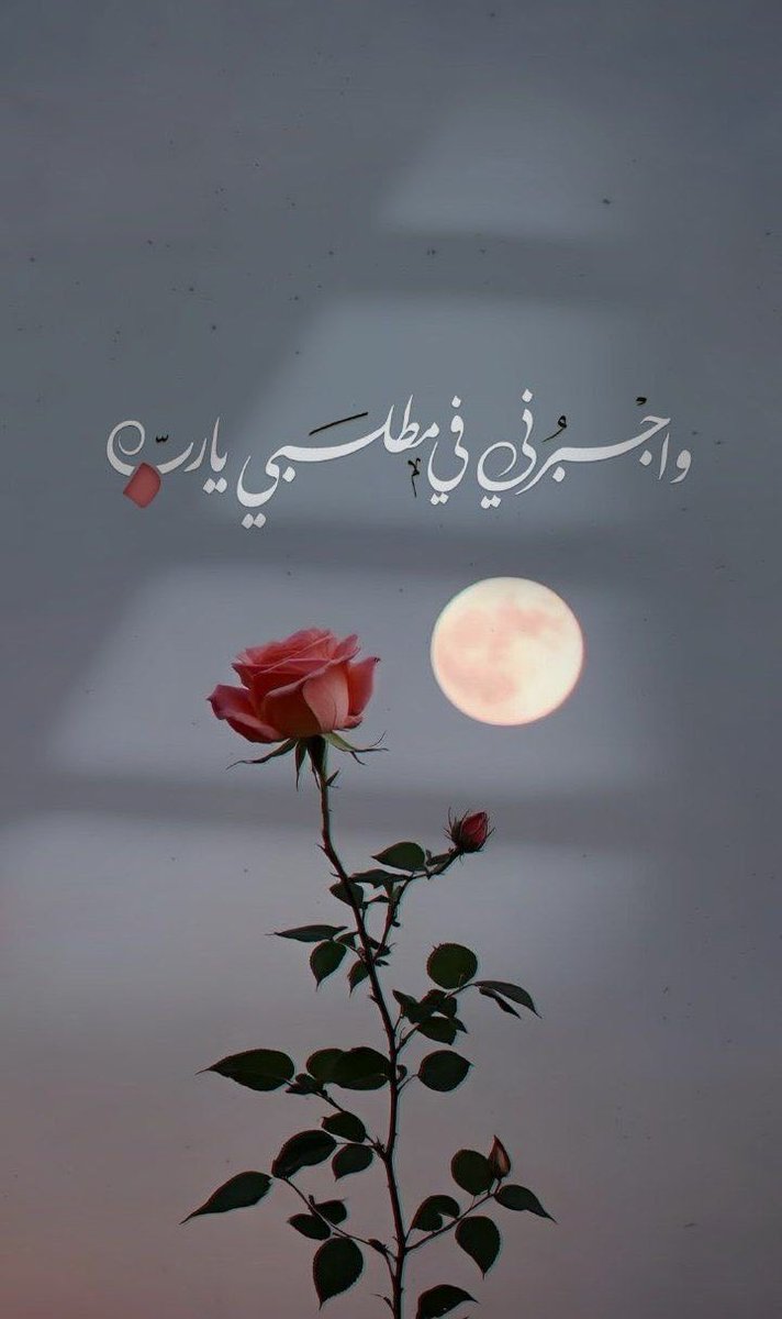 Aya Abdow (@abdow_aya) on Twitter photo 