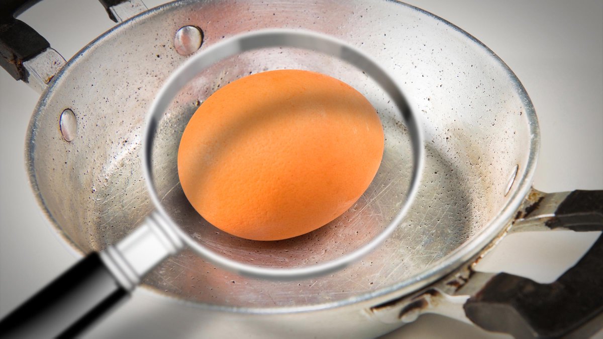 Studio_Gamma's tweet image. La tua carriera nella sicurezza alimentare inizia qui: forma il futuro con il nostro corso per Docente Formatore HACCP online. Iscriviti ora su studiogamma.com/corsi/docente-…

#StudioGamma #Formazione #HACCP