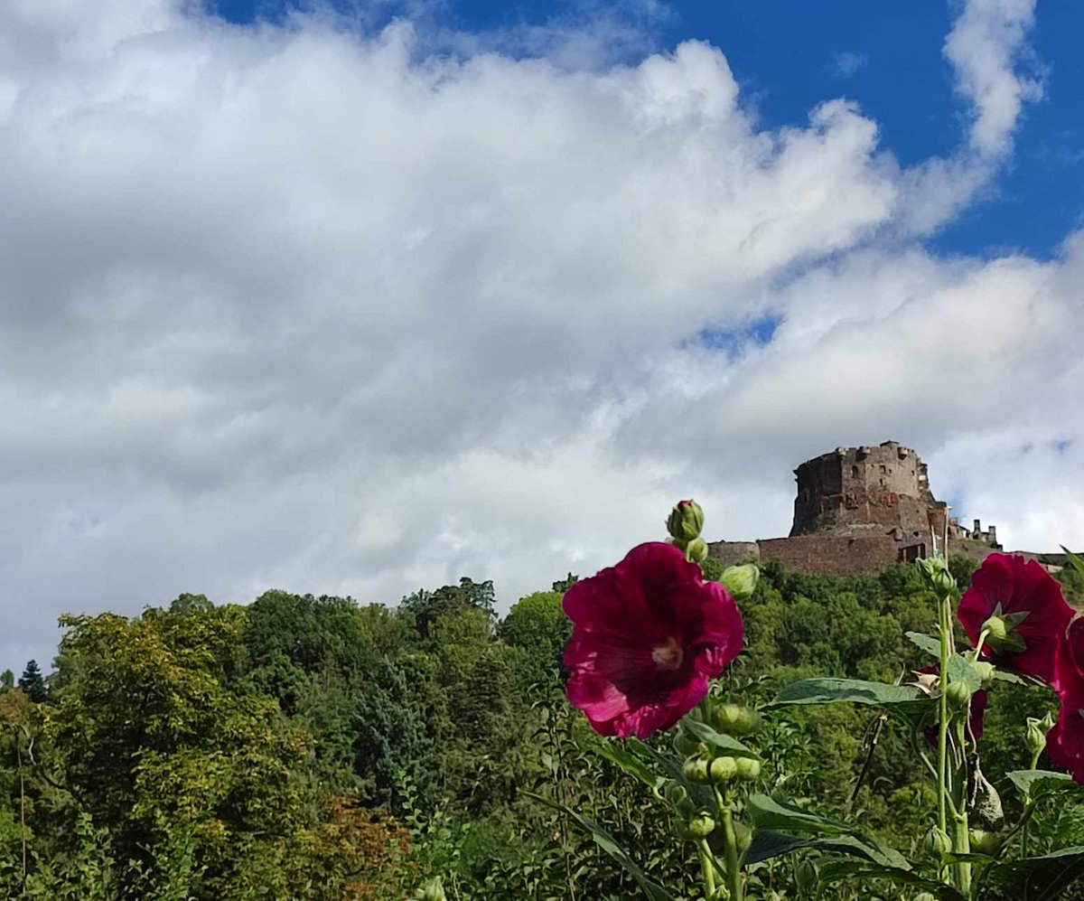 otmurol's tweet photo. #meteo l'été est encore présent aujourd'hui sur Murol !
N'hésitez pas à faire le plein de Vitamine D au château ! 😎🌞🌞🌞
23° Ensolleillé
#MeteoSancy #otsancy https://t.co/Wmo3d43Dhs