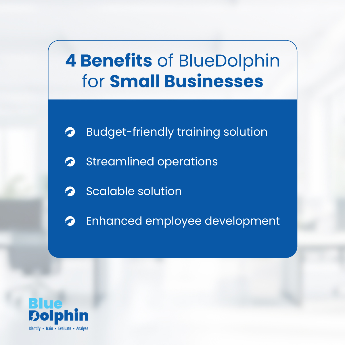 BlueDolphin tweet media