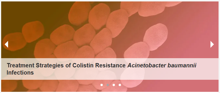 antibioticsmdpi's tweet photo. 🥳#TitleStory Issue Cover
📑Treatment Strategies of #Colistin #Resistance #Acinetobacter #baumannii #Infections
📝 by Andria Papazachariou, Renatos-Nikolaos Tziolos, Stamatis Karakonstantis et al. from @GeneralPagni
😍 Read the paper at https://t.co/QmiW9YK0Fn https://t.co/m71Uszb9B4