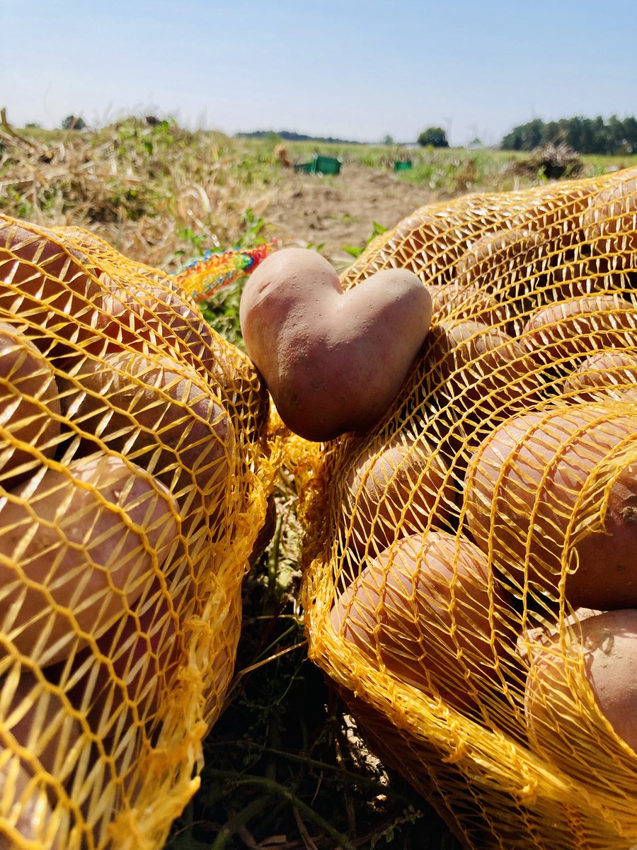 Echt schön, echt Altmark - lecker #altmark #landleben