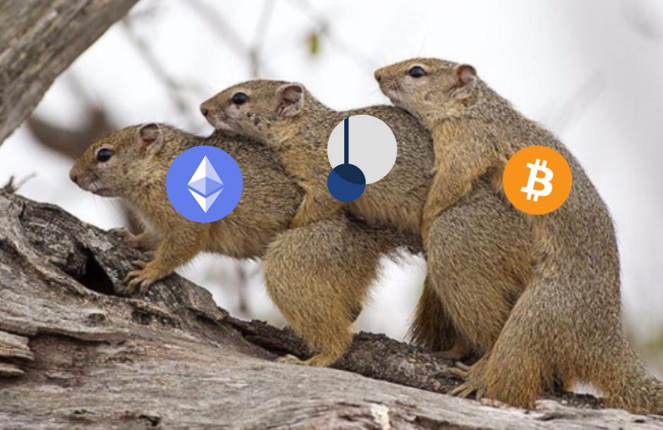 Loop tweet media