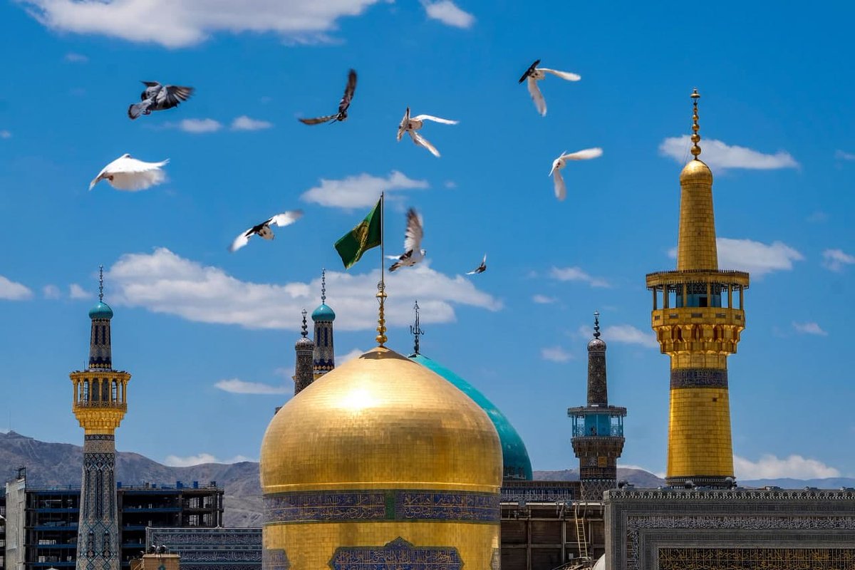 10Morfa's tweet photo. دل من گم شده گر پیدا شد بسپارید امانات رضا
و اگر از تپش افتاد دلم،ببریدش به ملاقات رضا
از رضا خواسته بودم شاید،بگذارد که غلامش بشوم
همه گفتند محال است ولی،دلخوشم به محالات رضا
#همه_خادم_الرضاییم
#شوق_خدمت https://t.co/jg9fis3A70