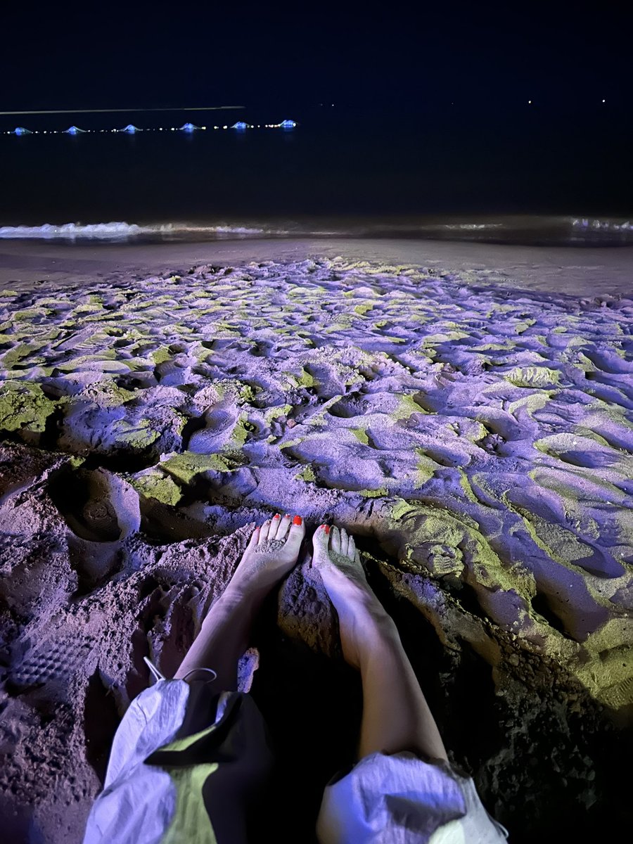 唐寅的朋友圈 tweet media