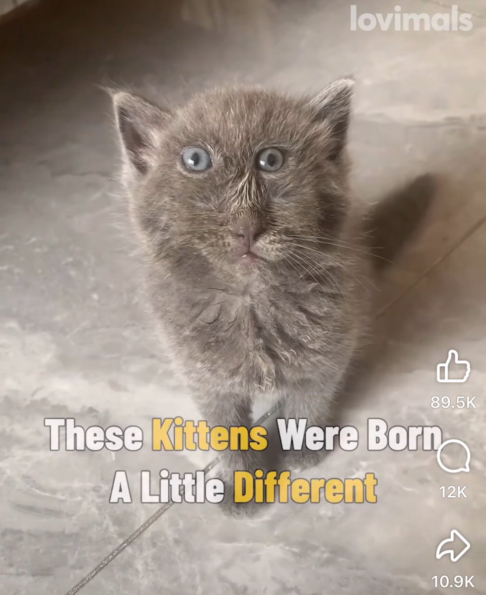 IRL <a href="/loladupre/">Lola Dupre</a> picture