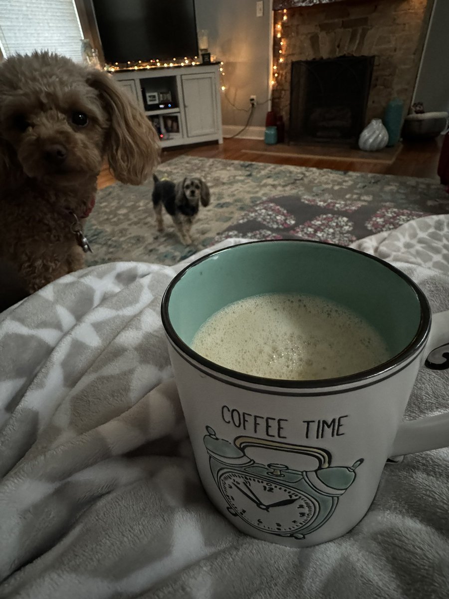 Kristy Collins tweet media