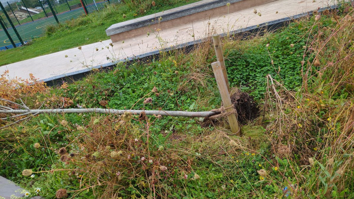 Heather Jones tweet media