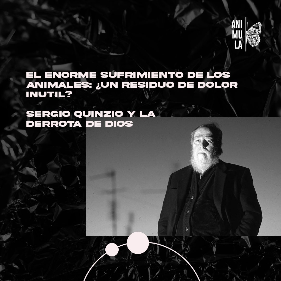 El enorme sufrimiento de los animales: ¿un residuo de dolor inútil?

◽ Por Mónica B. Cragnolini

🔗 Disponible en: animula.com.ar/sufrimiento-an…