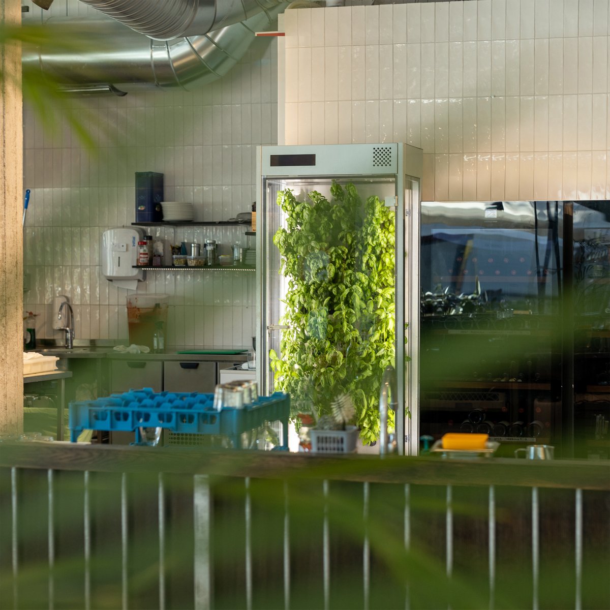 Arctic Farming (@arcticfarming) on Twitter photo Ever thought that you could grow fresh herbs using NASA technology? Well now you can.
HERBY® allows you to grow fresh herbs, leafy greens and edible flowers using tech developed for the International Space Station. No Phd needed!
#indoorfarming #NASA #hotels #restaurants Ever thought that you could grow fresh herbs using NASA technology? Well now you can.
HERBY® allows you to grow fresh herbs, leafy greens and edible flowers using tech developed for the International Space Station. No Phd needed!
#indoorfarming #NASA #hotels #restaurants