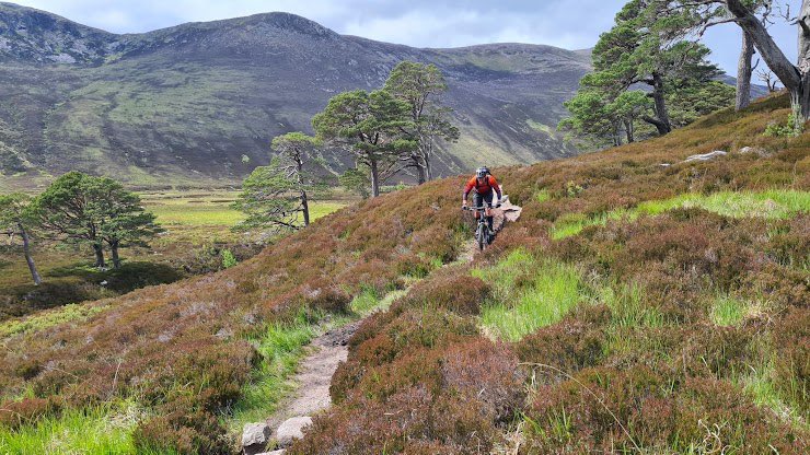 Help Sean to plan the Marmalade trips of 2025.
- Hoping to ride somewhere you’ve always had your eye on?
- Keen to go back to a trip you loved first time round?
- What do think of a new idea we have – in the Scottish Highlands?
Have your say here:
forms.gle/QhZwLaHjYRaEc3…