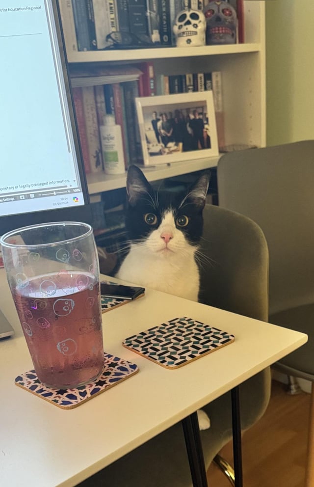 Meet Dave! dlvr.it/TCj9hs