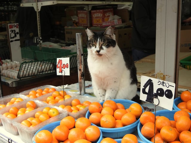 He is very firm on the fruits prices. dlvr.it/TCj9lY