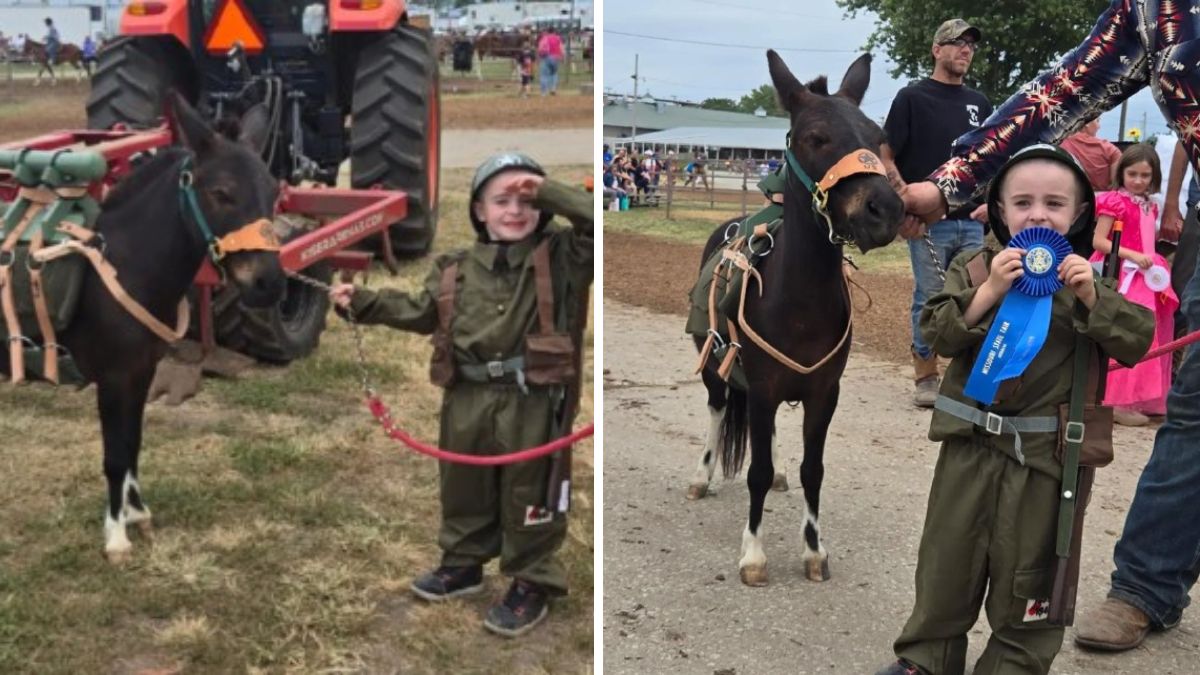 Playamos's tweet photo. Old School Cool: Little Boy’s Creative Mule-Assisted Costume Earns Him First Place At The Fair https://t.co/nlJmFhdt6d https://t.co/7OQ0BXAD2G
