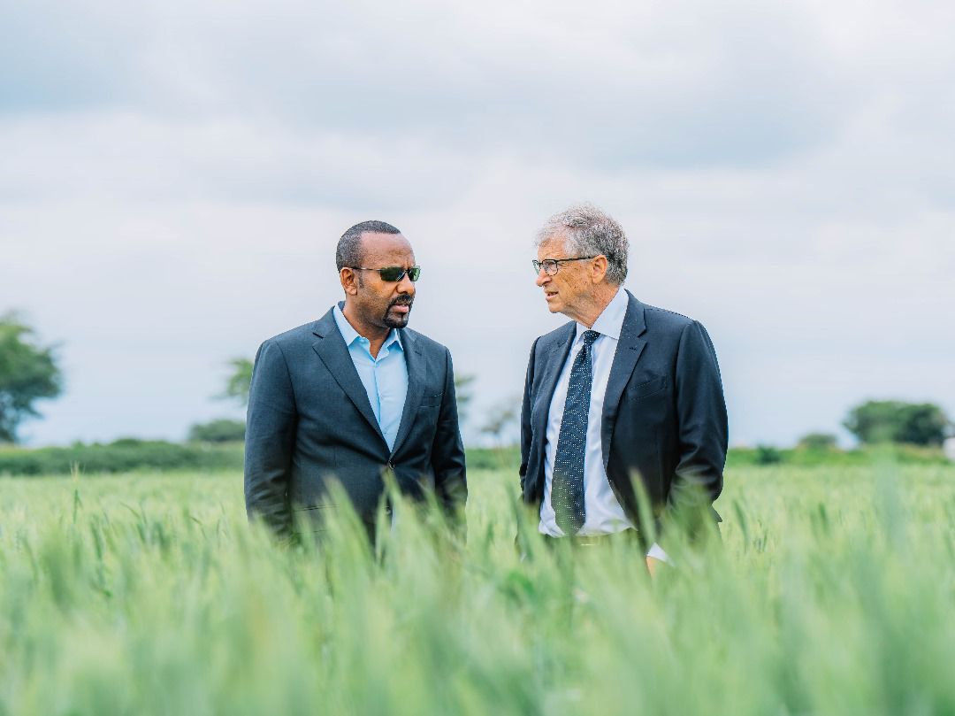 AbiyAhmedAli's tweet image. Pleased to welcome @BillGates to #Ethiopia once again. Always appreciate the great support of the Bill and Melinda Gates Foundation @gatesfoundation on our work on agriculture, health and financial inclusion. Our visit today to review wheat cluster productivity and poultry…
