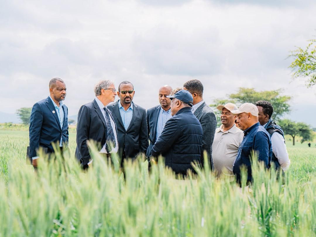AbiyAhmedAli's tweet image. Pleased to welcome @BillGates to #Ethiopia once again. Always appreciate the great support of the Bill and Melinda Gates Foundation @gatesfoundation on our work on agriculture, health and financial inclusion. Our visit today to review wheat cluster productivity and poultry…