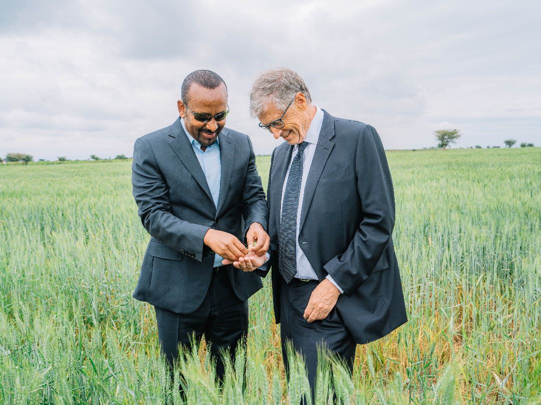 AbiyAhmedAli's tweet image. Pleased to welcome @BillGates to #Ethiopia once again. Always appreciate the great support of the Bill and Melinda Gates Foundation @gatesfoundation on our work on agriculture, health and financial inclusion. Our visit today to review wheat cluster productivity and poultry…