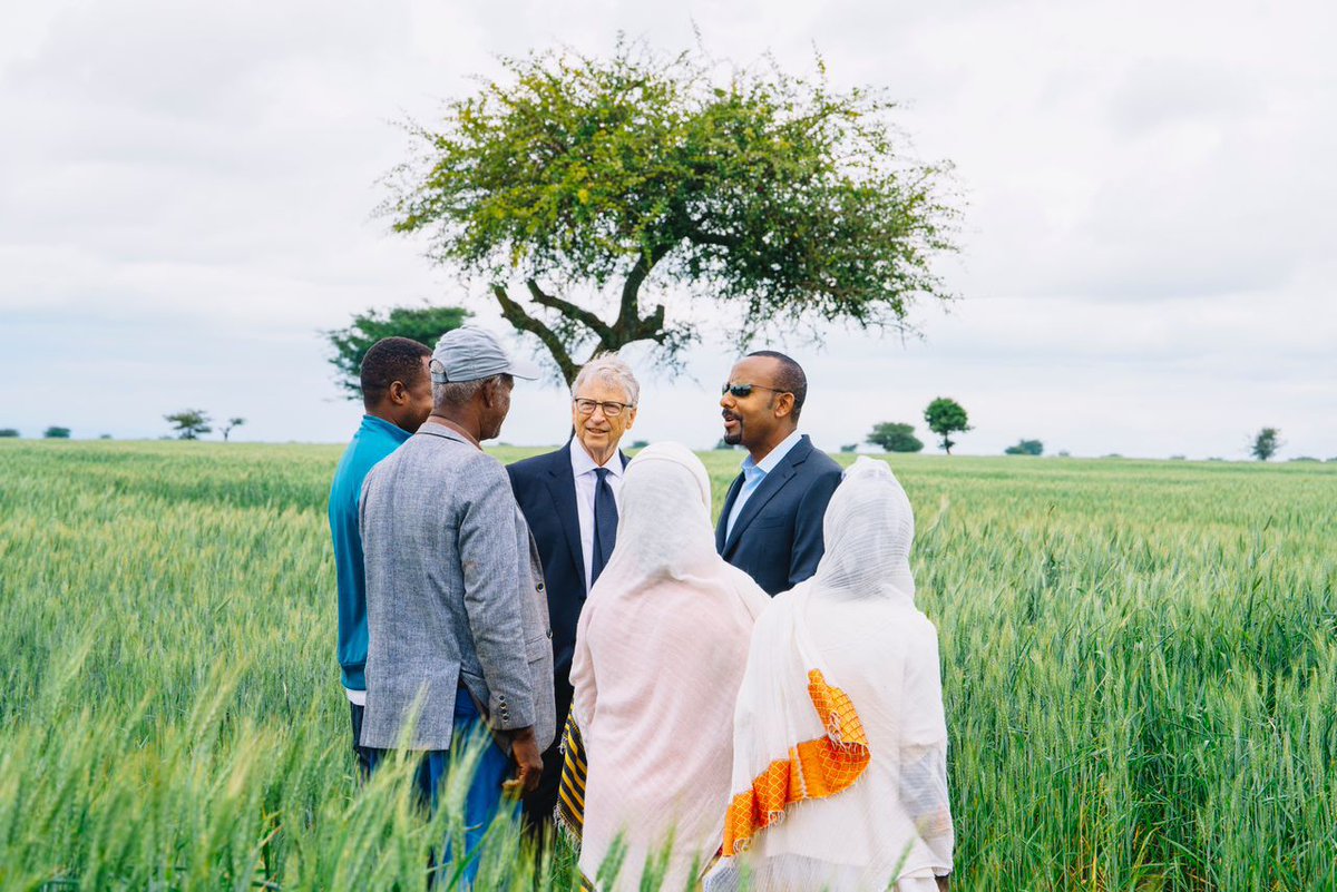 AbiyAhmedAli's tweet image. Pleased to welcome @BillGates to #Ethiopia once again. Always appreciate the great support of the Bill and Melinda Gates Foundation @gatesfoundation on our work on agriculture, health and financial inclusion. Our visit today to review wheat cluster productivity and poultry…
