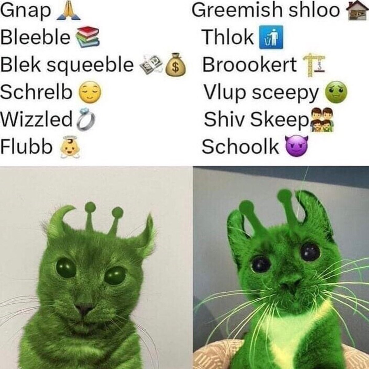 Zentas 🍊 tweet media