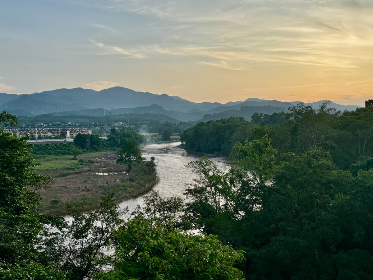 Christos Mammides tweet media