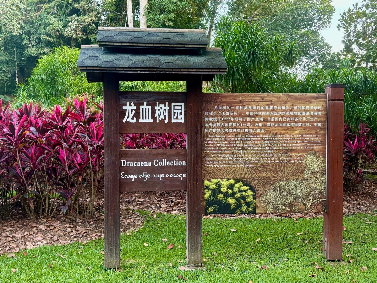 Christos Mammides tweet media