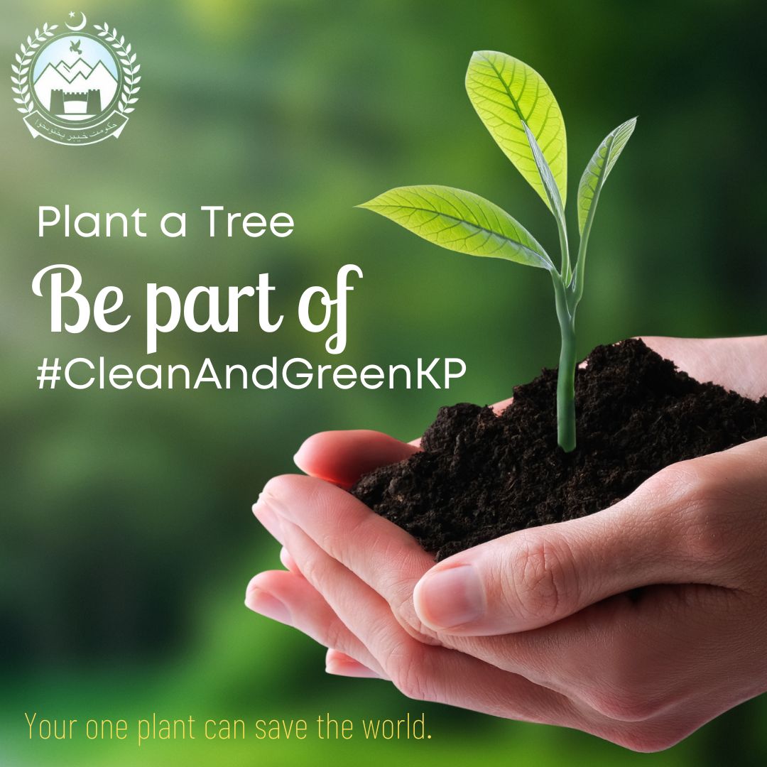 YarMKNiazi's tweet photo. Plant a Tree, be the part of #CleanAndGreenKP
Your one plant can save the world. 

#KPBillionTreesPlus https://t.co/YWSnMIJhSw