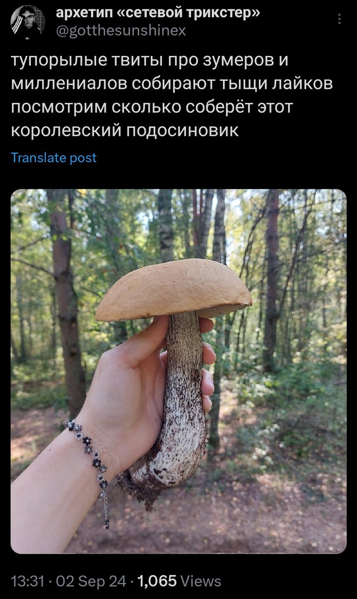 gotthesunshinex's tweet photo. ОЛАДЬИ БЕЗ ЕБАНОЙ МАТЬ ЕЕ МУКИ ЭТО СРАНЫЙ ОМЛЕТ УГАШЕНЫЙ ТЫ ОБ ДЕРЕВО https://t.co/nqBTWPlHOx