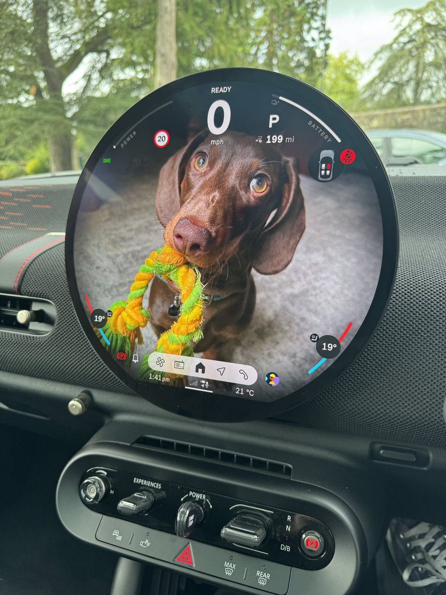 Not going to lie. I love the personal theme on the new electric Mini that lets you add your own pic to the display. <a href="/MINIUK/">MINI UK</a>