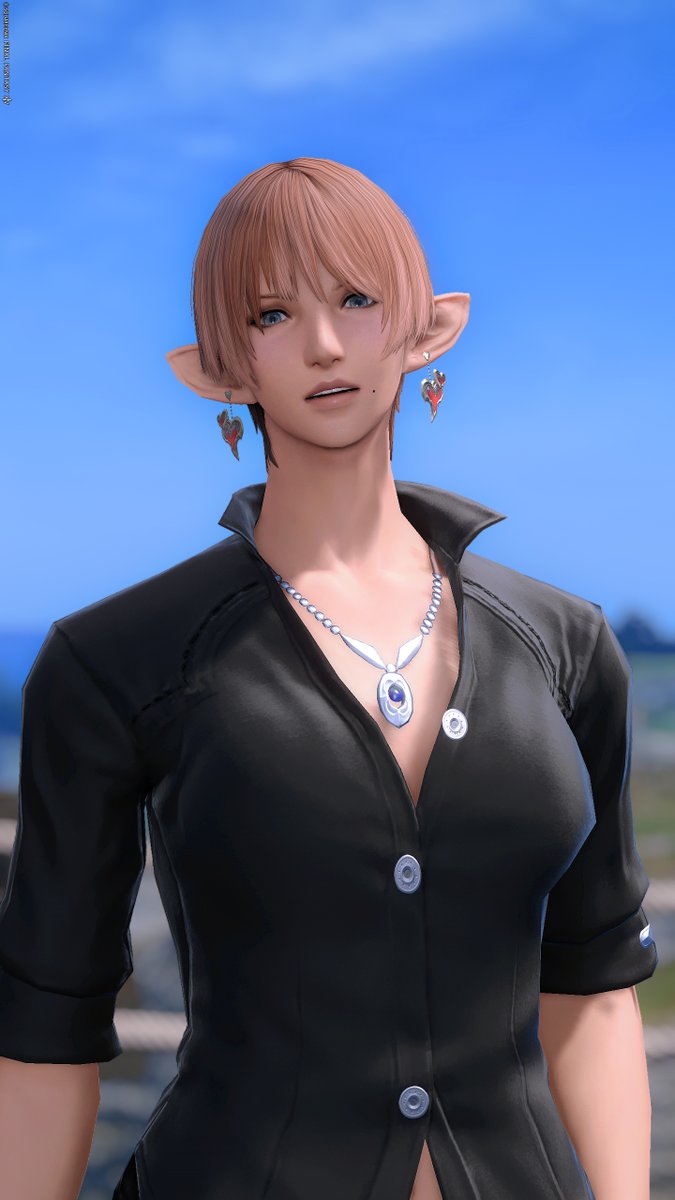 PonzuPowder's tweet photo. #Elezen #エレメス https://t.co/96klkqsLs1