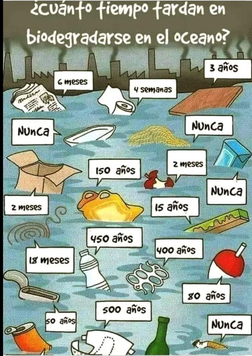 Recordemos esto antes de botarlos en la calle o en la playa.