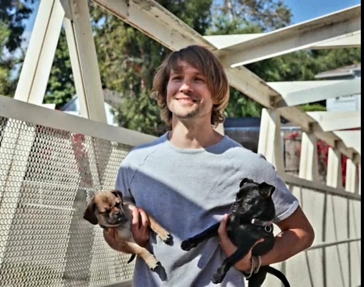 LMG_saltymofo's tweet image. New Month, New Challenge 
DAY (2)

Q.) Which character would you trust to mind your dog?

A.) Nate

Reason: The dude is spending his last day on earth with his doggies ffs!
#loganmarshallgreen #howitends #puppies