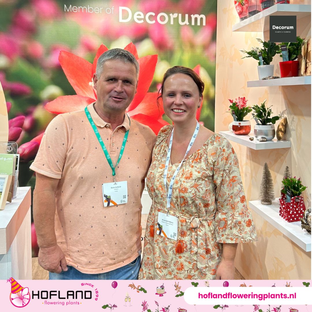 Kom je ons bezoeken op de Autumn Fair in Aalsmeer?

Je kunt ons vinden in stand 6.1 op woensdag 4 september of donderdag 5 september  📅

#HoflandFloweringPlants #AutumnFair #RoyalFloraHolland #Aalsmeer #planten #tuinbouw #trends