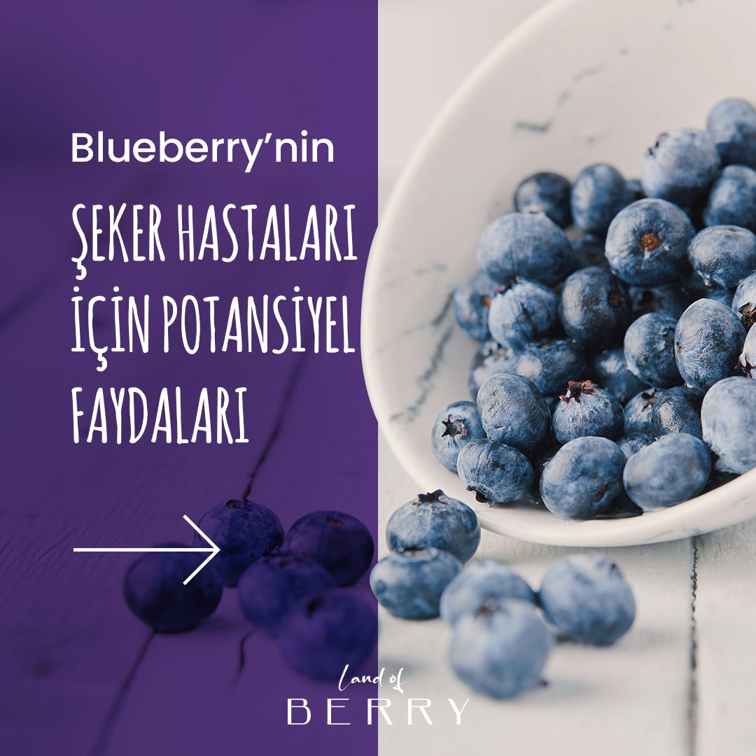 LANDOFBERRYBYS1's tweet photo. Blueberry düşük kalorili, besin açısından zengin ve antioksidan özelliklere sahip olduğundan, diyabet yönetiminde yardımcı olabilir. https://t.co/CkmiwxPdCx