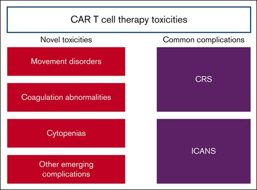 CAR T-cell toxicities: from bedside to bench, how novel toxicities inform laboratory investigations
ow.ly/ZAIq50T7MNS #clinicaltrialsandobservations #transplantation