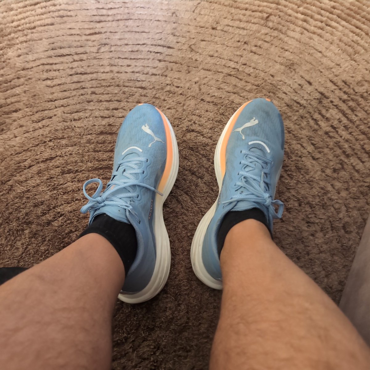 ripnix's tweet photo. @Loira Kayano são (eram) para pronadores. Cá em casa as novablast causaram estragos. Hoka nc tive. Não era mau considerar umas Puma. São mais baratas e ganda sapatilha. Os meus calços novos para a maratona em Novembro: https://t.co/X3d9RAsEqx