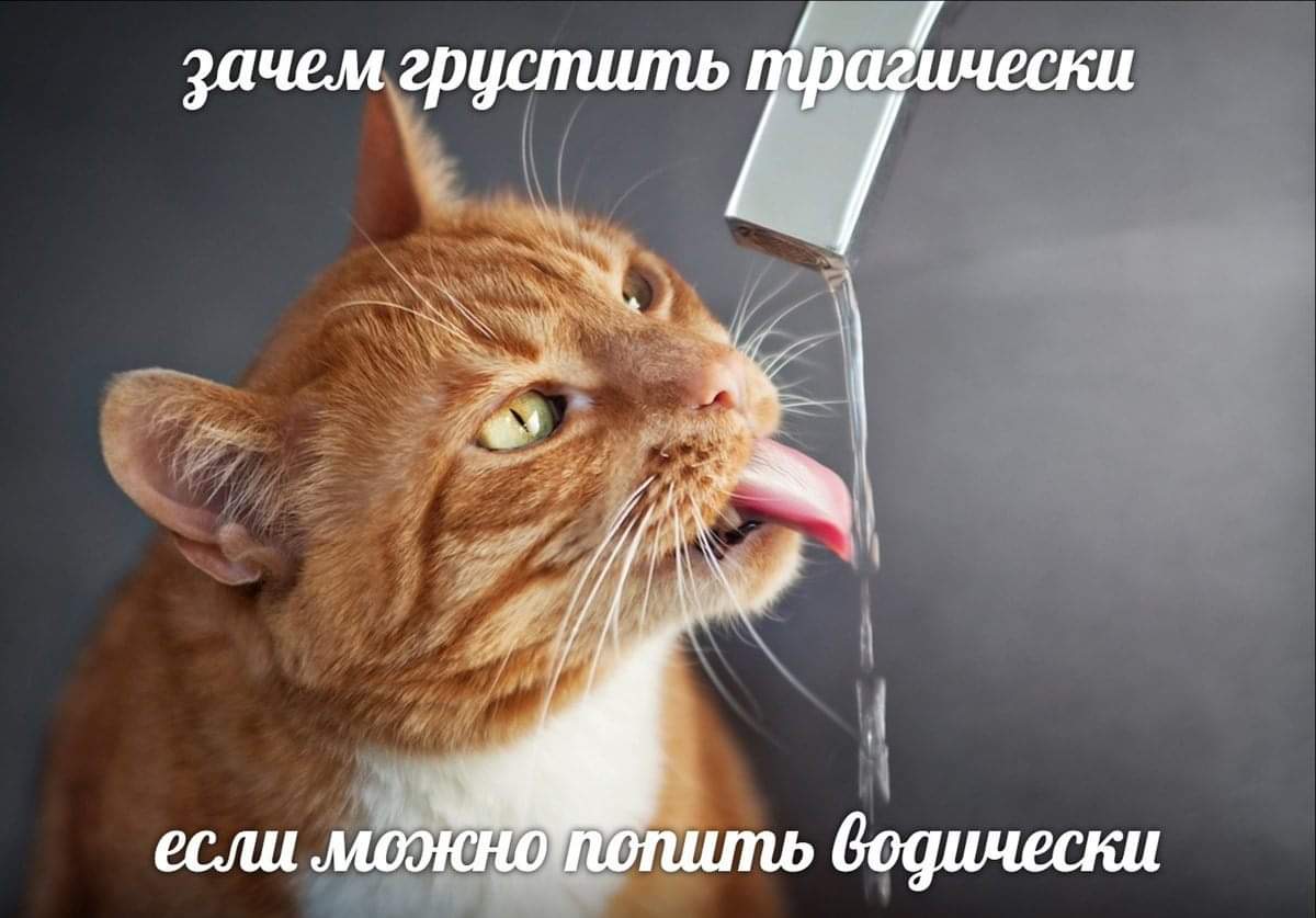 Человек-блондин tweet media