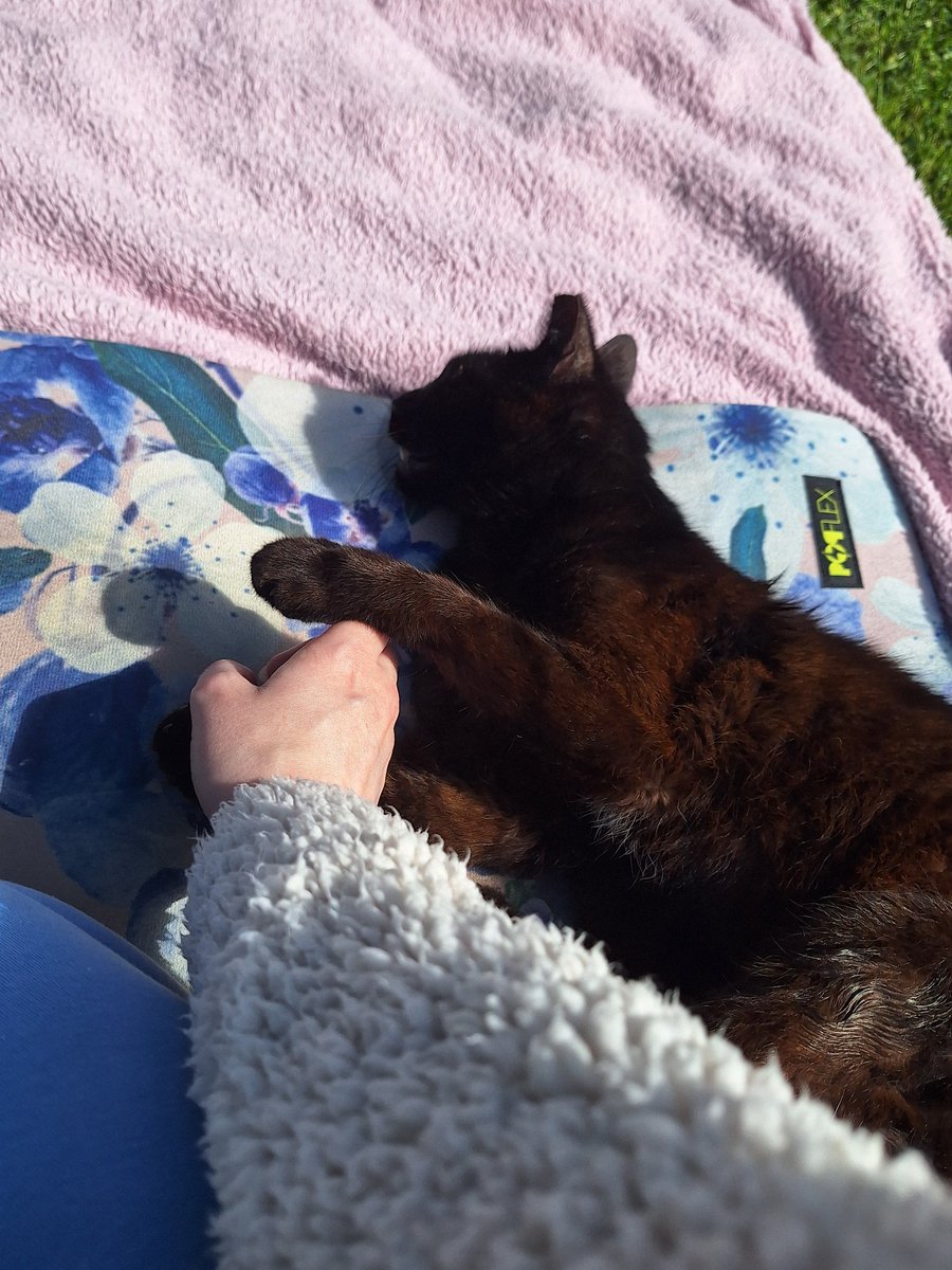 SmolLeha's tweet image. This Angel baby held my hand for the workout🩷 and we had some new face at #CatPilates today🩷
Have a good Monday, Oomfies 🩷🩷🩷