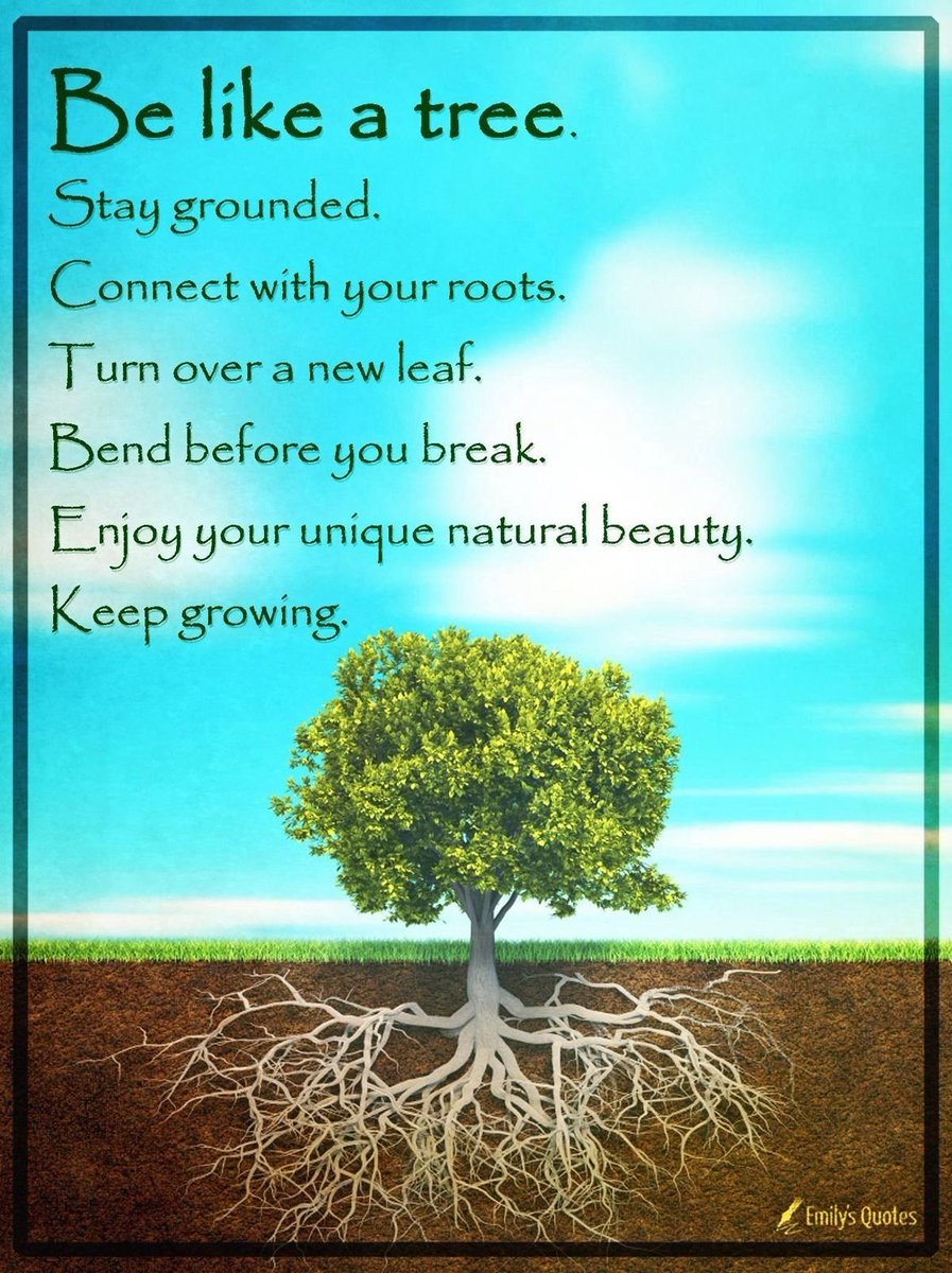 LORWEN108's tweet photo. Connecting with others and accepting nature is the path to fulfillment. 

• Join a club.
• Arrange meetups.
• Explore new hobbies.
• Move out and meet others.

Practice gratitude. Live simply. Cultivate compassion.

In other words, be like a tree... https://t.co/msEpu3jlOD