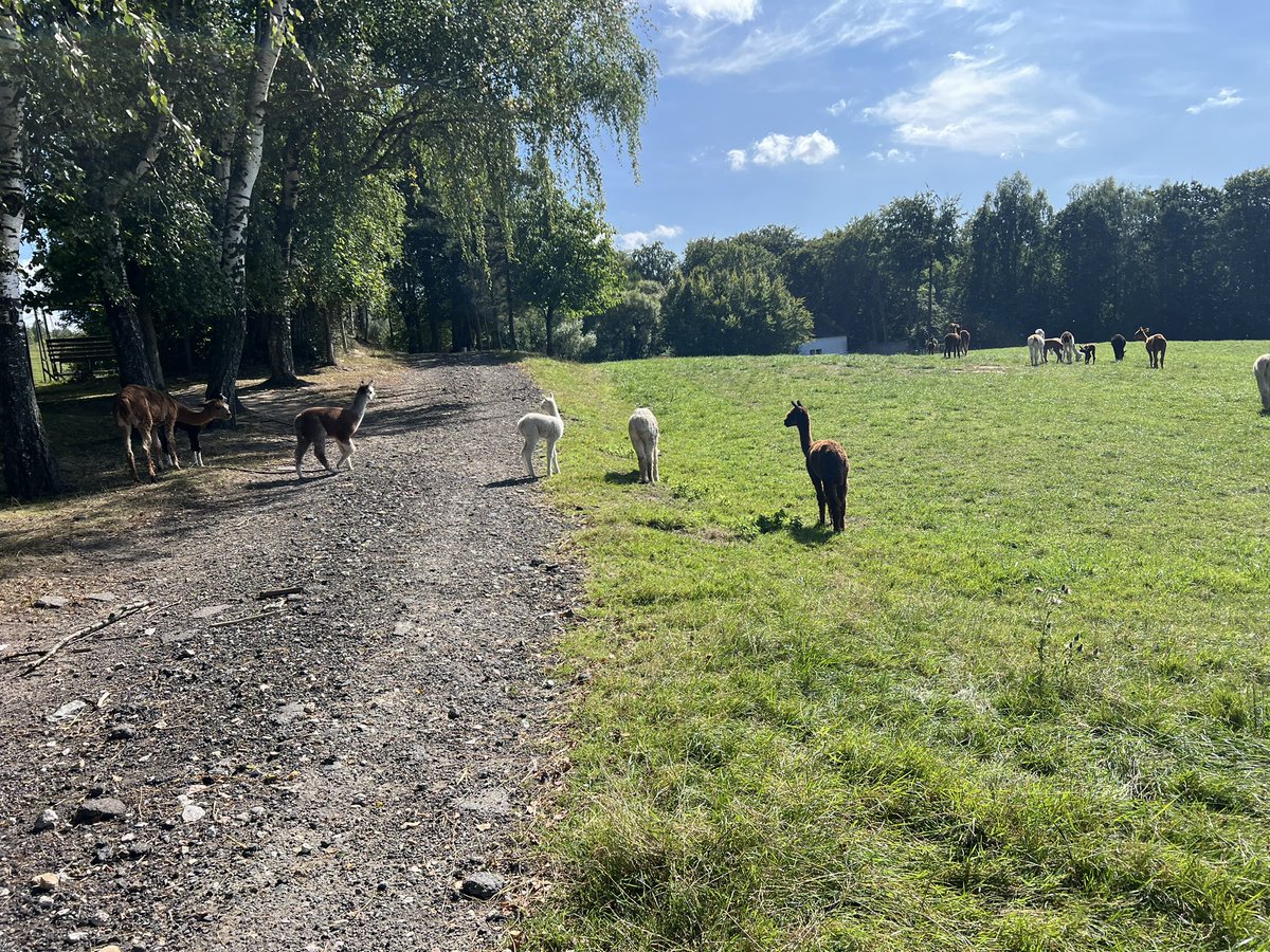 MJMarszalkowski's tweet image. #Kaszuby #odpoczynek