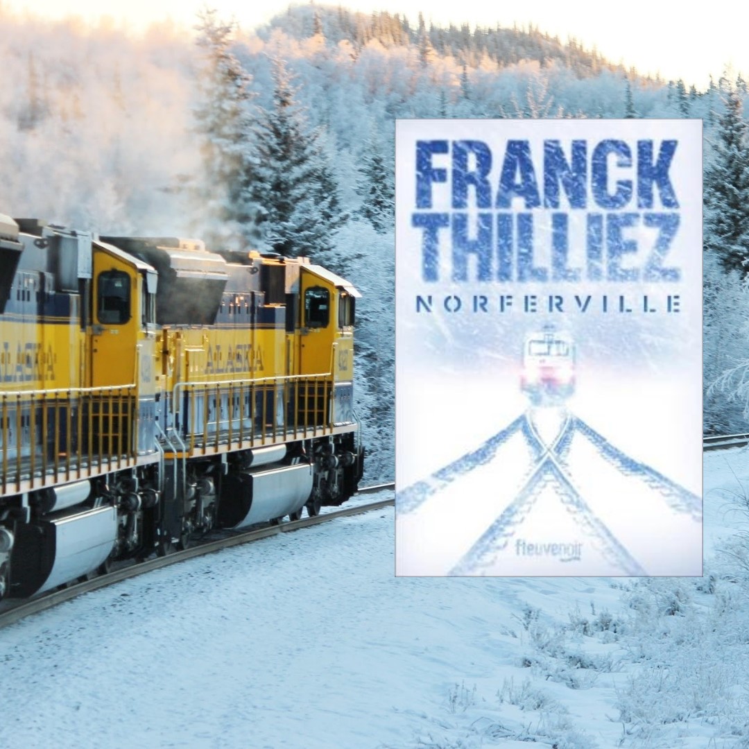 🌎📖 Mon avis sur Norferville de Franck Thilliez, Editions Fleuve Noir ❄️😱
➡️loeilnoir.wordpress.com/2024/09/02/nor…