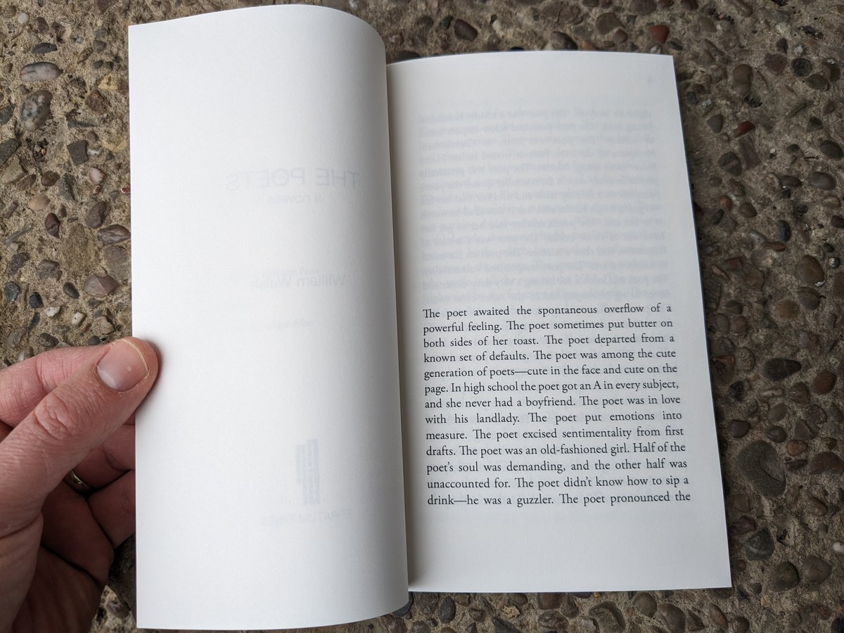 “A stunning river of words.”

—Sara Pirkle <a href="/DrSaraPirkle/">Sara Pirkle</a>

“A collective biography of all the poets in our midst” 

—Pedro Ponce <a href="/PedroEPonce/">Pedro Ponce</a> 

THE POETS by <a href="/Questionstruck/">William Walsh</a> erratumpress.com/the-poets